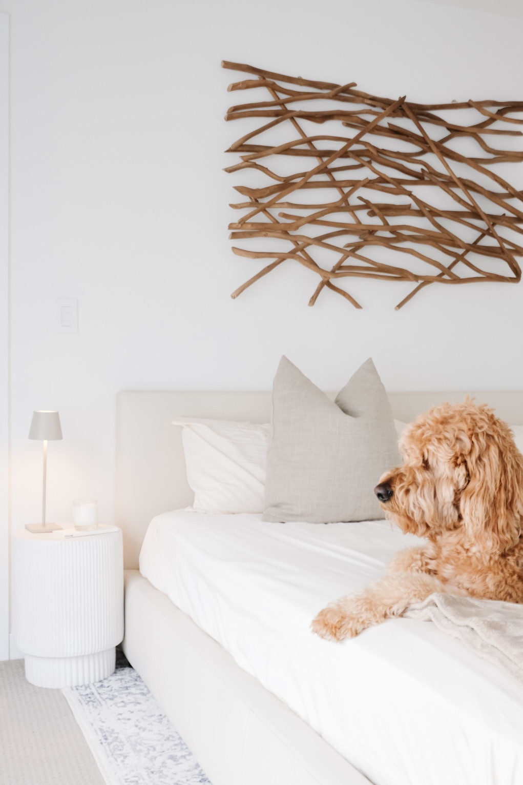 Larry enjoying himself on a bedroom in a modern townhouse